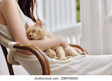 Woman in white dress together with the cat on the terrace Friendship rest unaltered