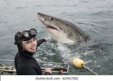 Woman And White Shark