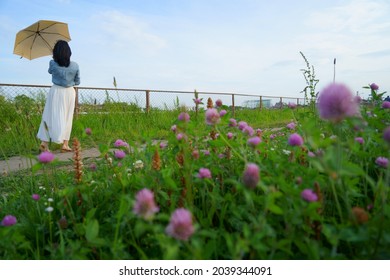 A woman in a white skirt holding a parasol on the red clover blooming promenade - Powered by Shutterstock