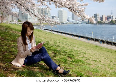 The woman who reads a book under the cherry tree