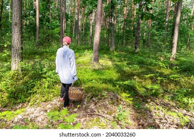 Woman With A Wicker Basket Doing Mushroom Hunting In A Forest N Poland.