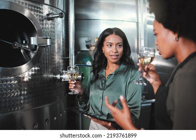 Woman Winemaker Discuss, Planning And Tasting Wine In A Distillery To Expand The Business. Alcohol Management, Professional Or Expert Drinking A Glass While Collaborating For A Startup Winery Cellar