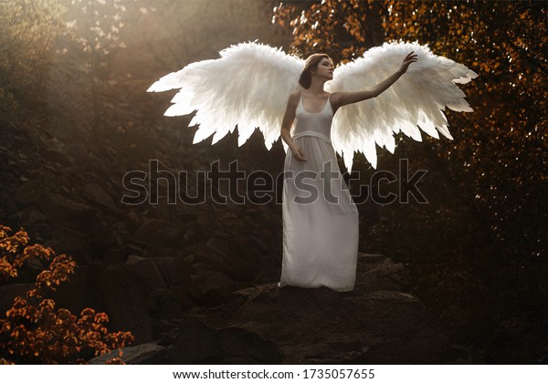 Woman Wings Image Angel Angel Dance Stock Photo (Edit Now) 1735057655