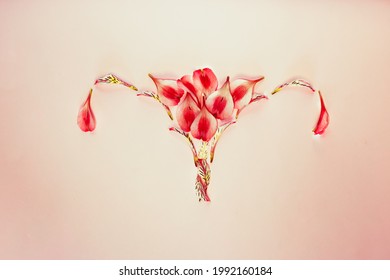 Woman womb concept.
female reproductive system disease.floral girl organs background. Woman's vagina health, uterus problems.Gynecology health