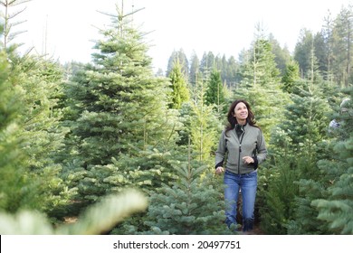 A Woman Wondering Threw A Christmas Tree Lot