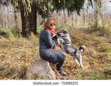 woman in the woods walking with a dog in the autumn afternoon