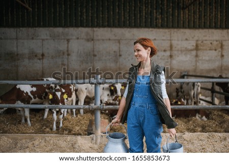 Similar – Foto Bild Kuh an einer roten Scheune in ländlicher Umgebung