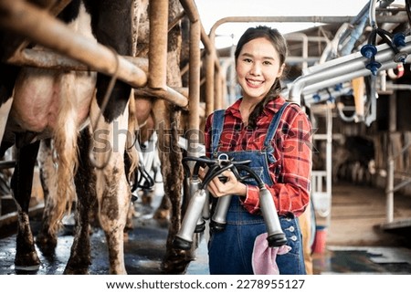 Woman worker in cowshed farm with automatical cow milking machines for sale to customer or biggest factory. Control labor for working milking with best quality.