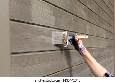 Woman Worker Painting Wooden House Exterior Wall With Paintbrush And Wood Protective Color