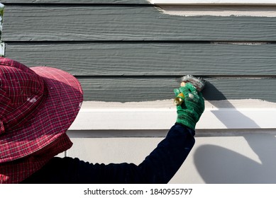 Woman Worker Painting Wooden House Exterior Wall At Site