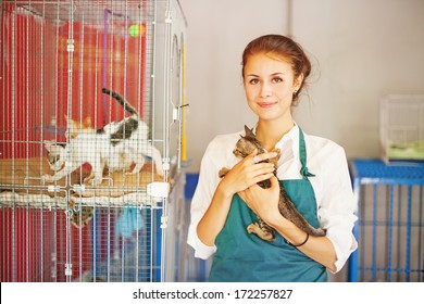 Woman Working In Animal Shelter