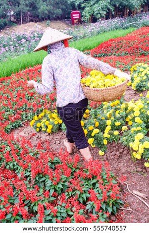 A woman working in flower garden