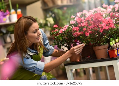 Woman Working In Flower Shop