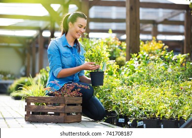 Woman Working In Garden Center
