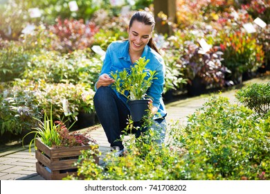 Woman Working In Garden Center
