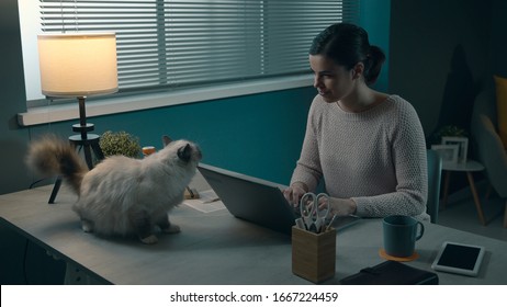 Woman Working With Her Laptop, Her Cat Is Walking On The Desk And Looking At Her