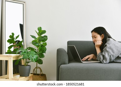 Woman Working From Home By Laptop Computer Surround Green Tropical Tree, Human And Nature, Houseplants Growing In Living Room For Indoor Air Purification And Home Decorative.