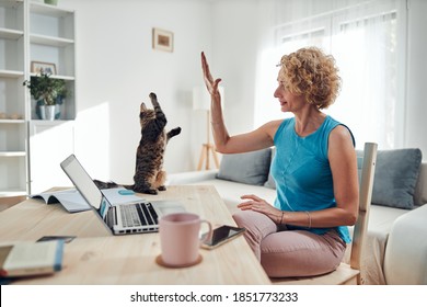 Woman working from home on a laptop / notebook with cat pet with her.