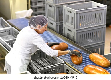 woman working in a large bakery - industrial production of bakery products on an assembly line 