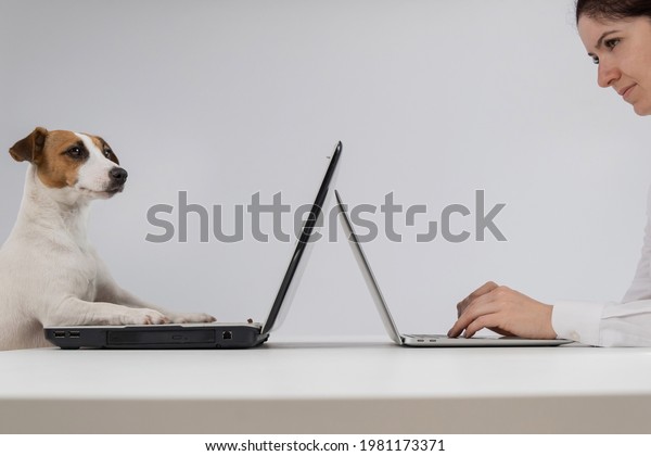 A woman is working on a\
modern laptop, while a Jack Russell Terrier dog on an obsolete on a\
white background. Comparison of fast and slow typing on the\
keyboard