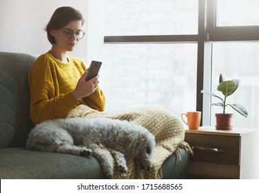 Frauen, die mit Telefon zu Hause Quarantäne arbeiten. Kaffee oder Tee, Hund und warmes Plaid für einen komfortablen Arbeitsplatz. Bleiben Sie zu Hause!