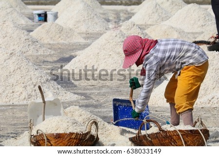 A woman is working at sea salt farm in sunny day