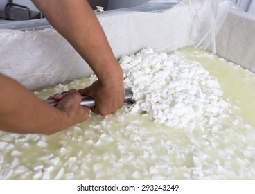 A Woman Working In A Small Family Creamery Is Mixing A Cheese Batch. The Dairy Farm Is Specialized In Buffalo Yoghurt And Cheese Production.