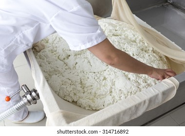 A Woman Working In A Small Family Creamery Is Processing The Final Steps Of Making A Cheese Batch. The Dairy Farm Is Specialized In Buffalo Yoghurt And Cheese Production.