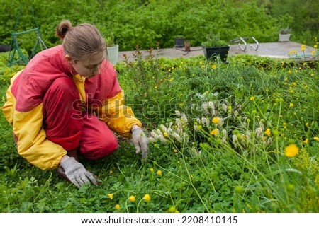 a woman works in the garden tending flowers