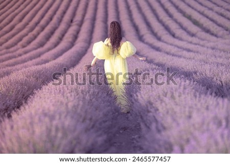 Similar – #A# Morning Sun Lavender 1