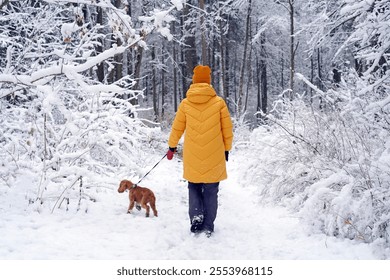 Woman in yellow jacket walking in snowy forest with dog spaniel in winter - Powered by Shutterstock