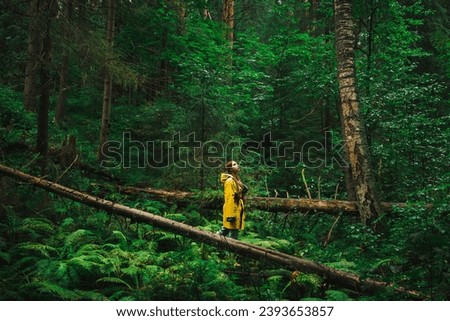 Woman in a yellow raincoat walk her way through a green wet forest during the rain. The concept of travel and tourism.