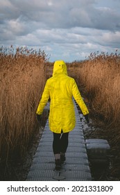 A Woman In A Yellow Winter Jacket Walking In The Randu Meadows Nature Reserve In Latvia During Sunny And Windy Day