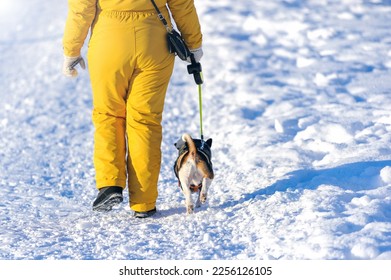 A woman in a yellow winter overall with dog walks along a snowy road on a winter walk on a sunny day. - Shutterstock ID 2256126105