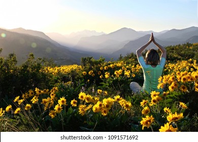 Woman in yoga pose among Sunflowers in meadows.  Beautiful view of Cascade Mountains at sunrise.  Winthrop. Patterson Mountain. Seattle. Washington. United States.