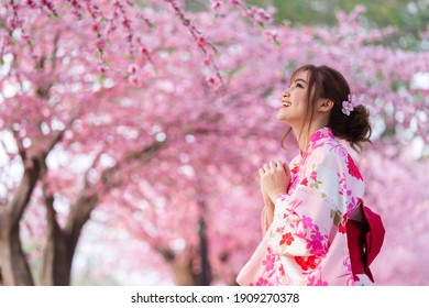 woman in yukata (kimono dress) looking sakura flower or cherry blossom blooming in the garden