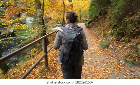 Woman's back with backpack walking in the forest with deep path during the autumn, Bohemian Switzerland National Park Czechia 
