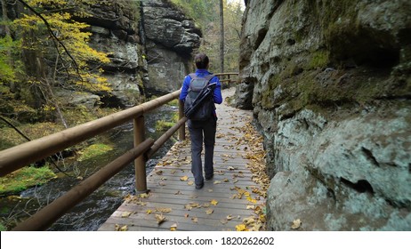 Woman's back with backpack walking in the forest with wooden path during the autumn , Czech Switzerland, Bohemian Switzerland National Park Czechia 