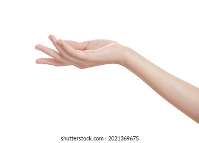 Woman's beautiful hand holds out something on a white background