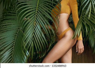 Woman's body in swimsuit at tropical nature in summer. Beautiful fit female body with smooth skin and tight hips near green palm leaves 