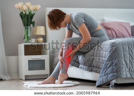 The woman's calf muscle cramped, massage of female leg in home interior, painful area highlighted in red