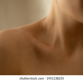 Woman's collarbone, the most beautiful part of the body