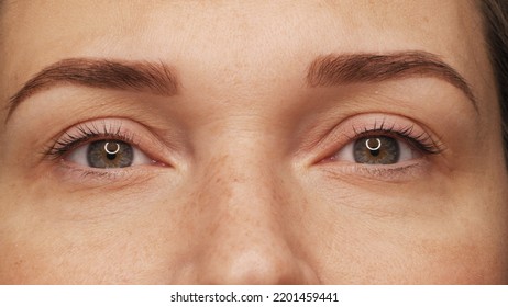 A woman's eyes with long black eyelashes after lamination. Closeup opened girl's eyes  with long black eyelashes. Close-up of the woman eyes with long black lashes. - Powered by Shutterstock