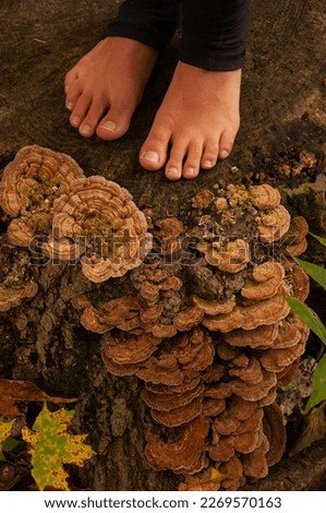 A woman's feet on a stump in the forest with turkey tail mushrooms growing out beside her