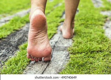 Woman's Feet Walking On The Grass. Old Wood