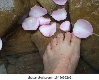 Woman's Foot Submerged In Water With Rose Petals On Stones