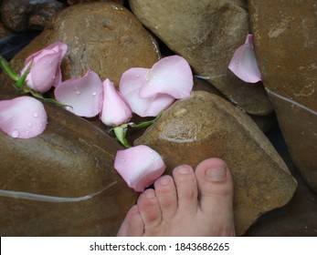 Woman's Foot Submerged In Water With Rose Petals On Stones