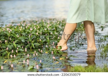 Woman's foot touches the water surface of a lake with blooming algae