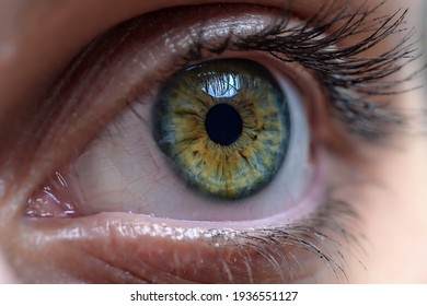 Woman's Green Eye Close Up