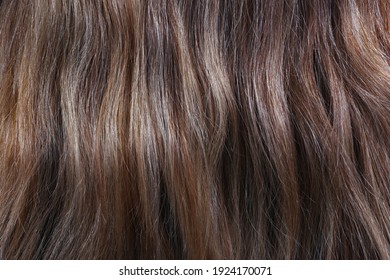 Womans Hair Texture Background Close Up